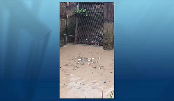 2701 BUDAK LEMAS LONGKANG INSHOT