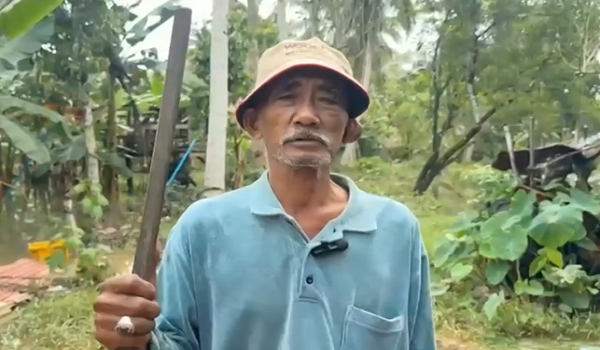 2911 KT IKAN TENGKUJUH123456