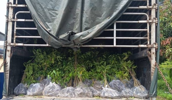 2306 KLTN OP TARING WAWASAN PGA 1