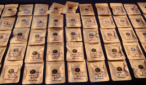 1807 PP WARGA EMAS DADAH 5